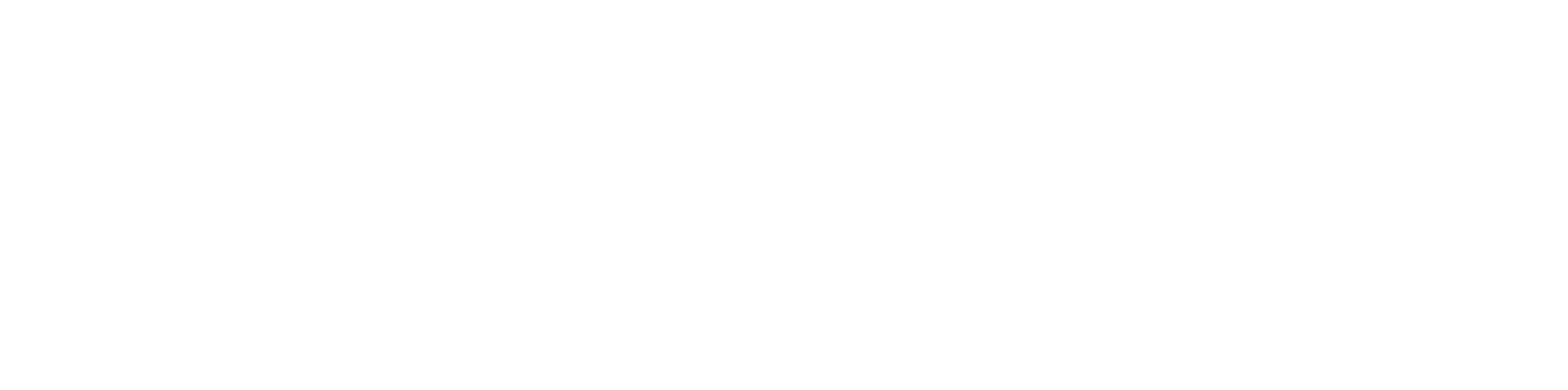 logo-white